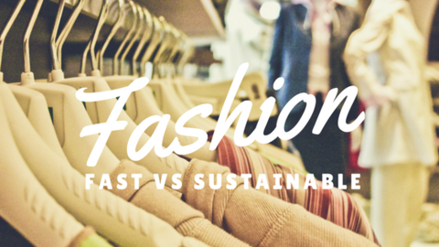 fashion: fast vs sustainable
