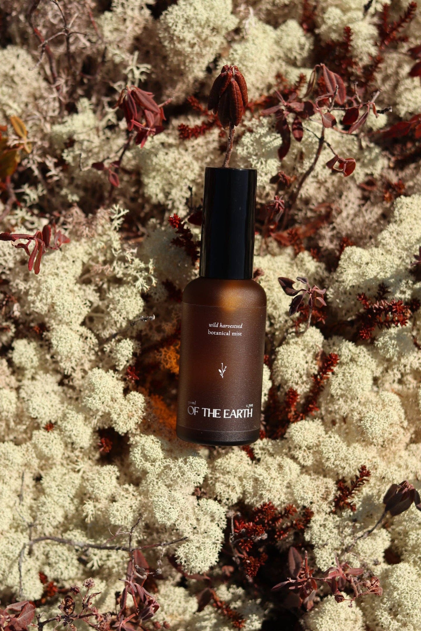 Of The Earth - Juniper, Reindeer Moss & Labrador Tea :: Room, Body & Linen Botanical Mist