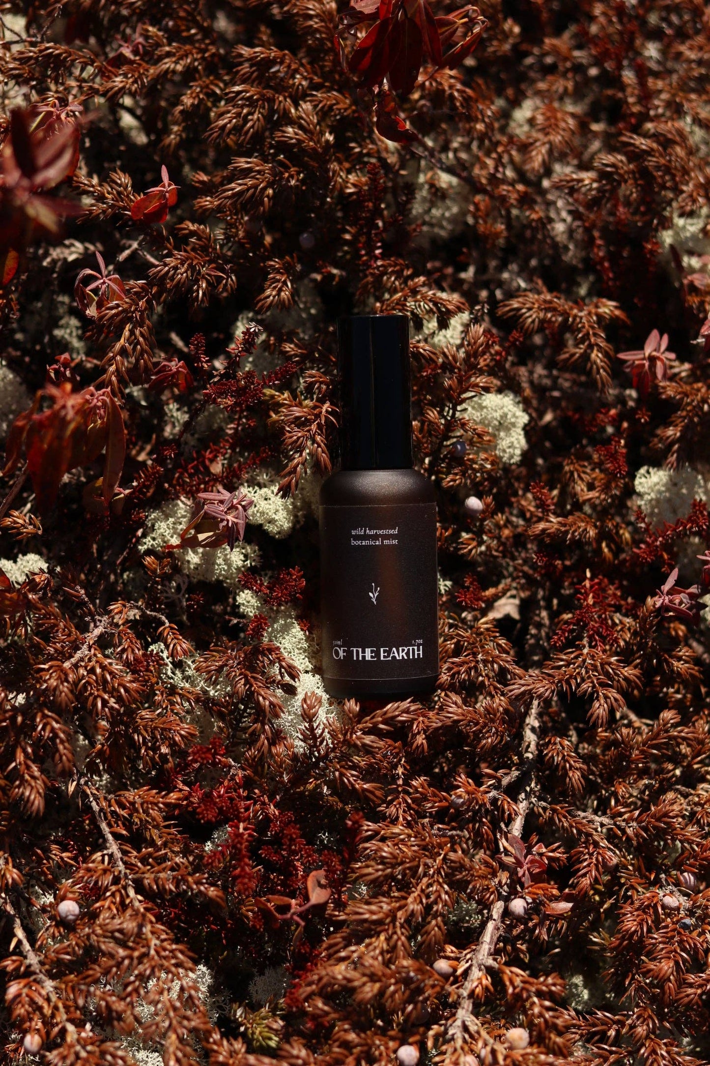 Of The Earth - Juniper, Reindeer Moss & Labrador Tea :: Room, Body & Linen Botanical Mist