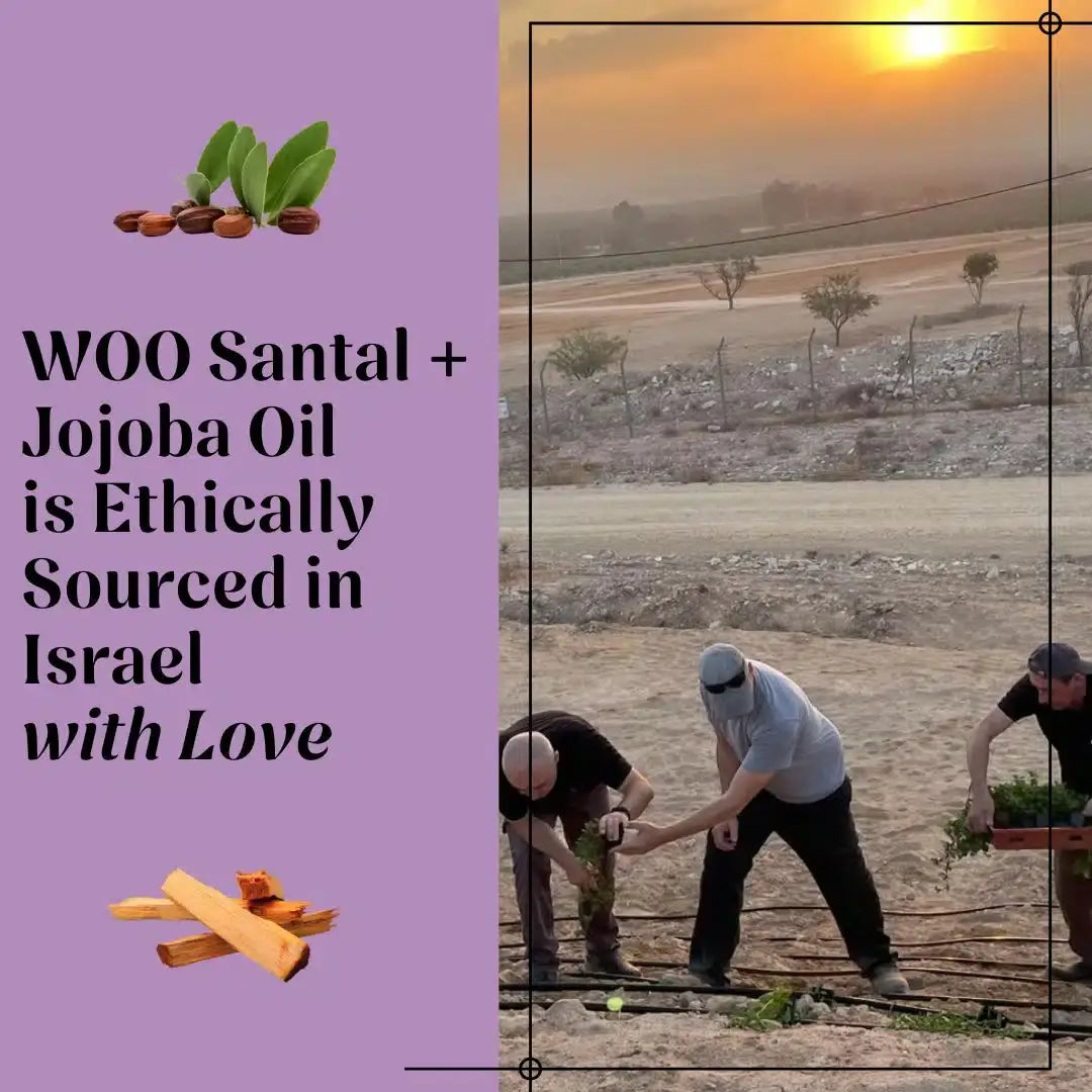 WOO World of Oils - WOO™ Santal + Jojoba Oil