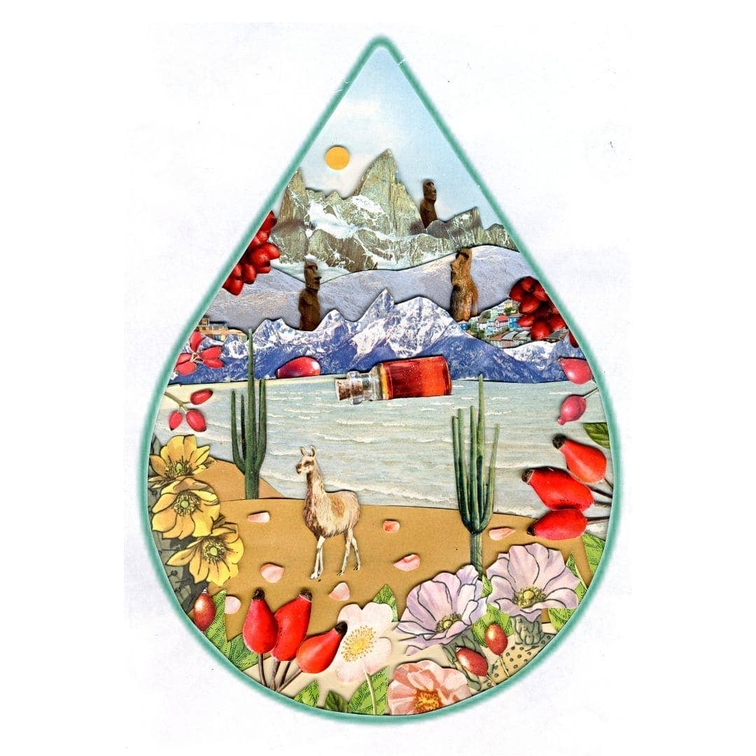 WOO World of Oils - WOO™ Rosehip Oil, 100% Organic
