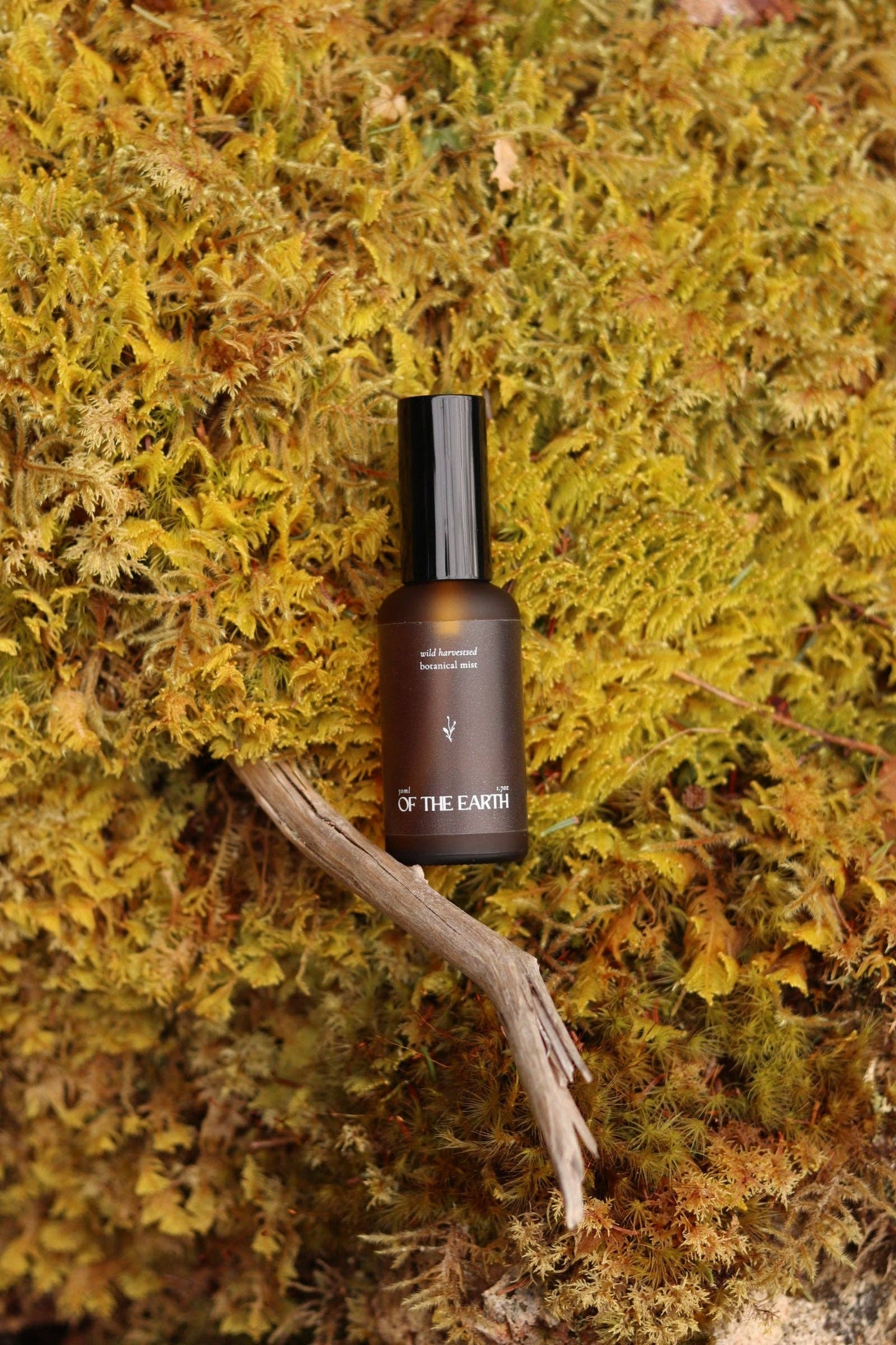 Of The Earth - Black Spruce & Usnea :: Room, Body & Linen Botanical Mist