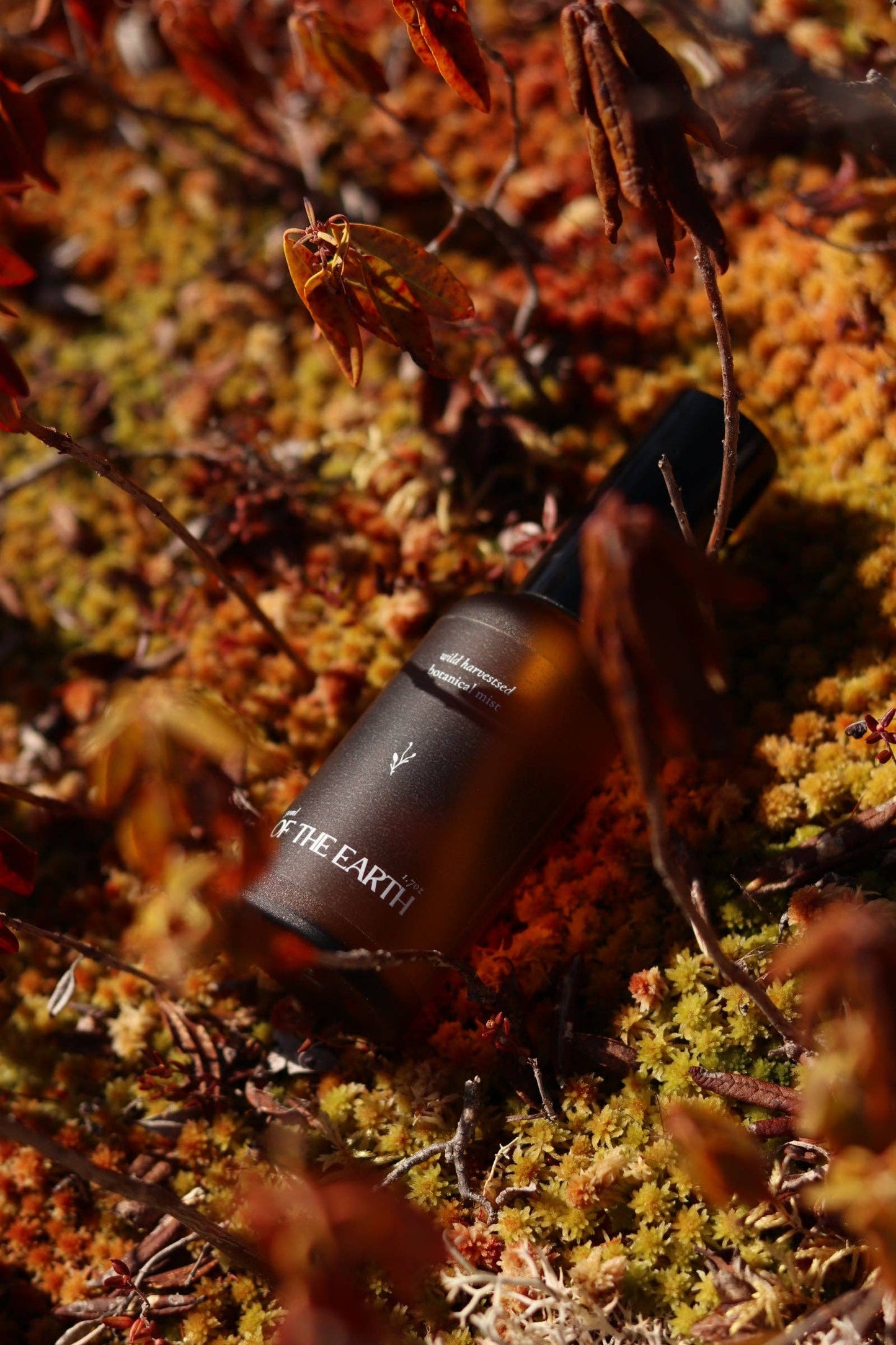 Of The Earth - Juniper, Reindeer Moss & Labrador Tea :: Room, Body & Linen Botanical Mist