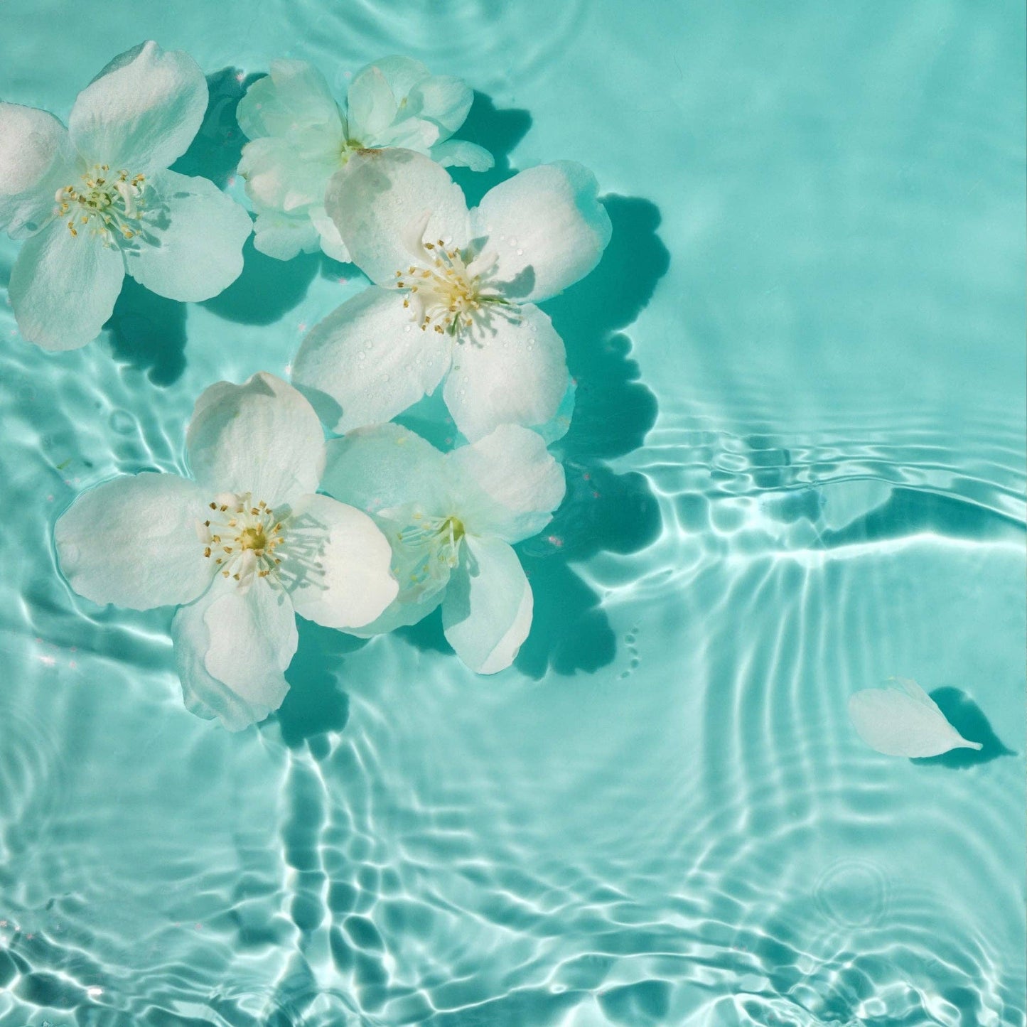 Aide Bodycare - Salt & Surf Soap - Wholesale