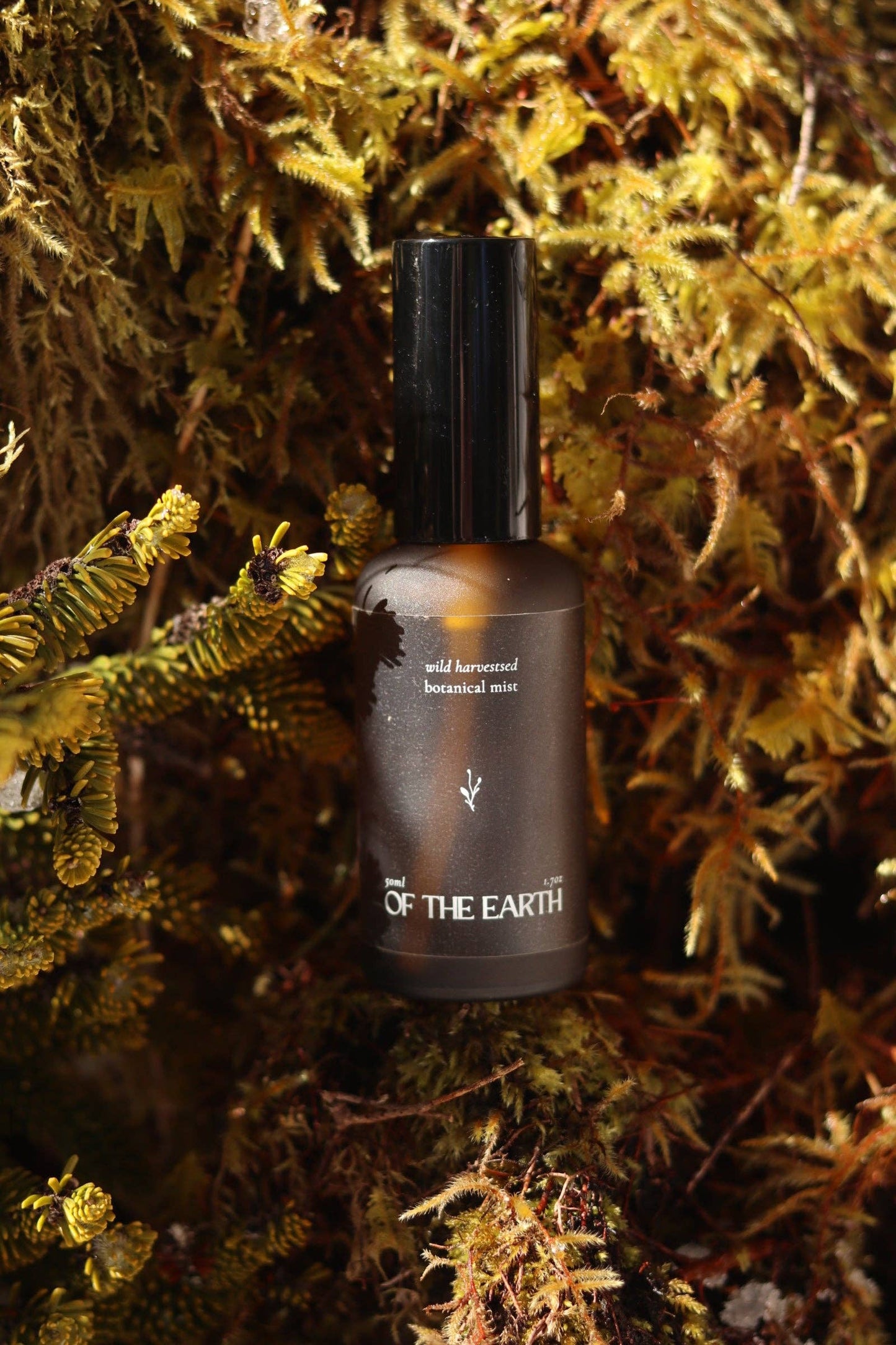 Of The Earth - Black Spruce & Usnea :: Room, Body & Linen Botanical Mist