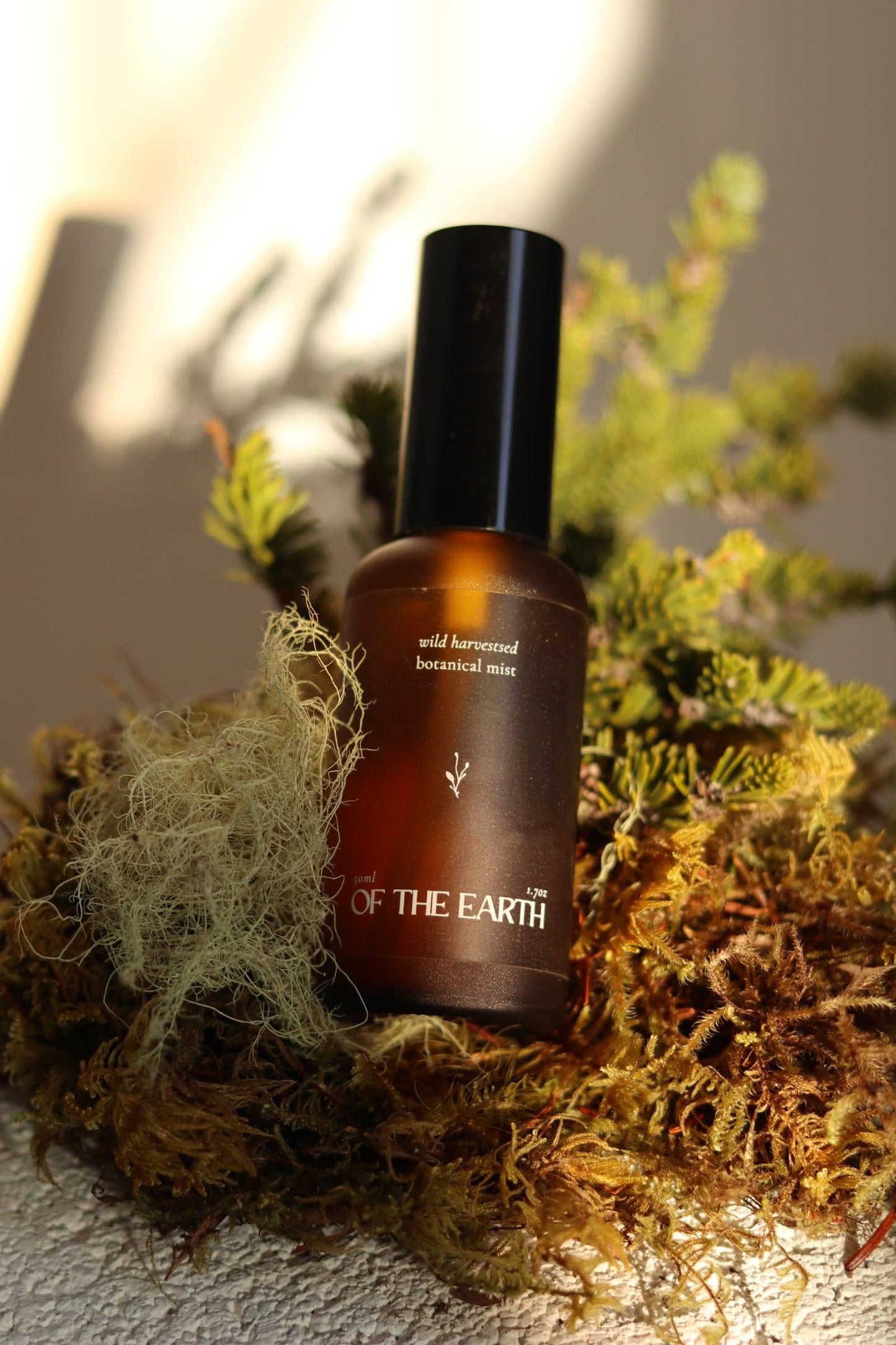 Of The Earth - Black Spruce & Usnea :: Room, Body & Linen Botanical Mist