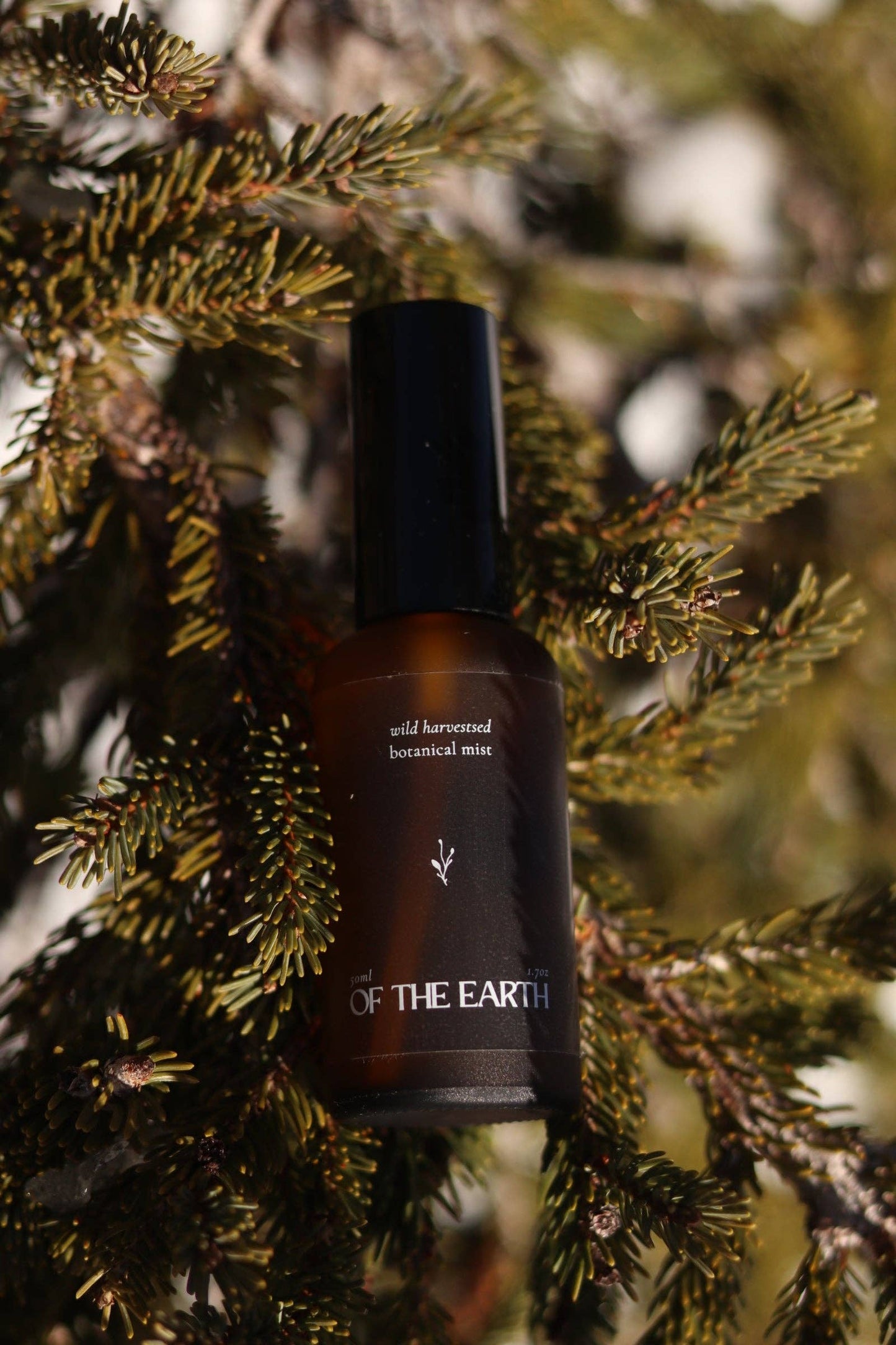 Of The Earth - Black Spruce & Usnea :: Room, Body & Linen Botanical Mist