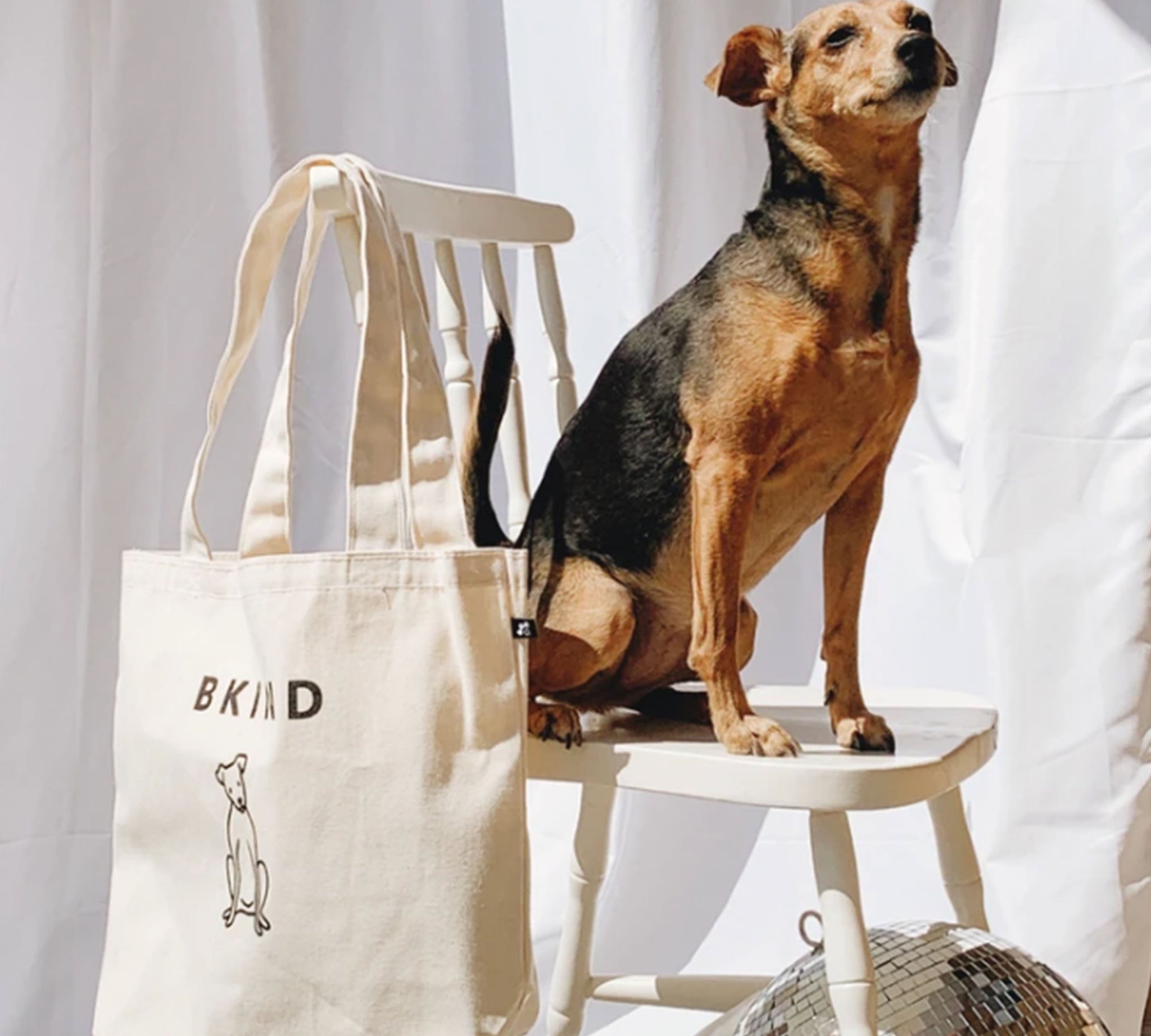 BKIND Pup Tote